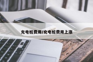 充电桩费用/充电桩费用上涨