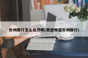 忻州限行怎么处罚呢(我想知道忻州限行)