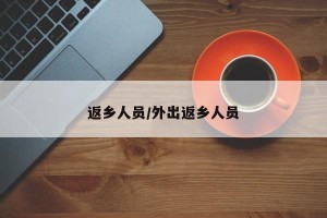 返乡人员/外出返乡人员