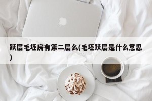 跃层毛坯房有第二层么(毛坯跃层是什么意思)